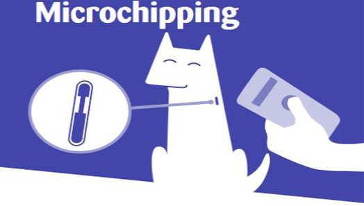 Microchipping